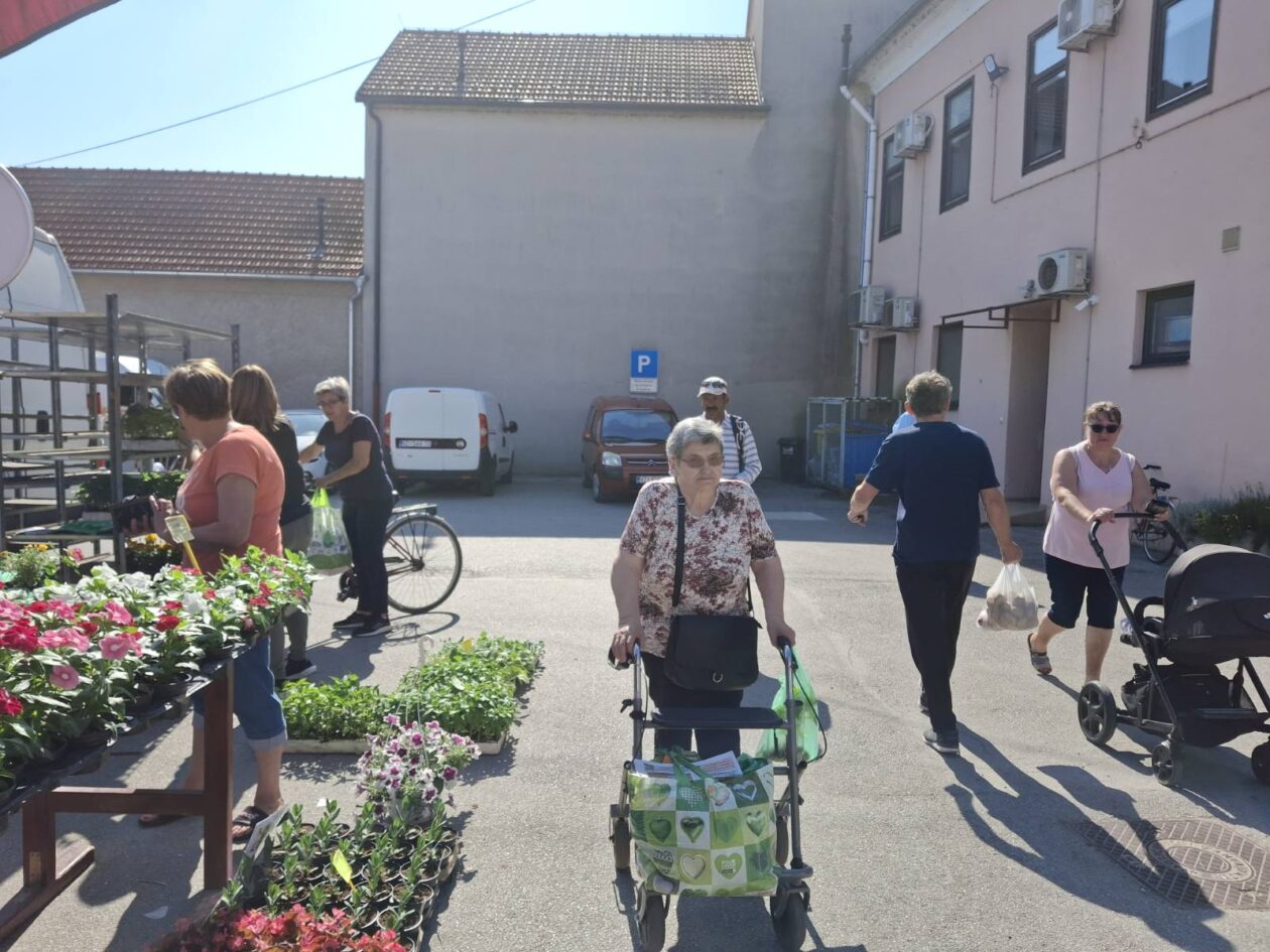 prelog, tržnica,21.6 (2)