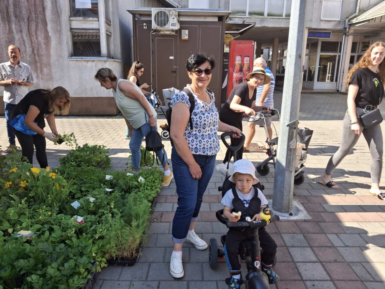 prelog, tržnica,21.6 (24)