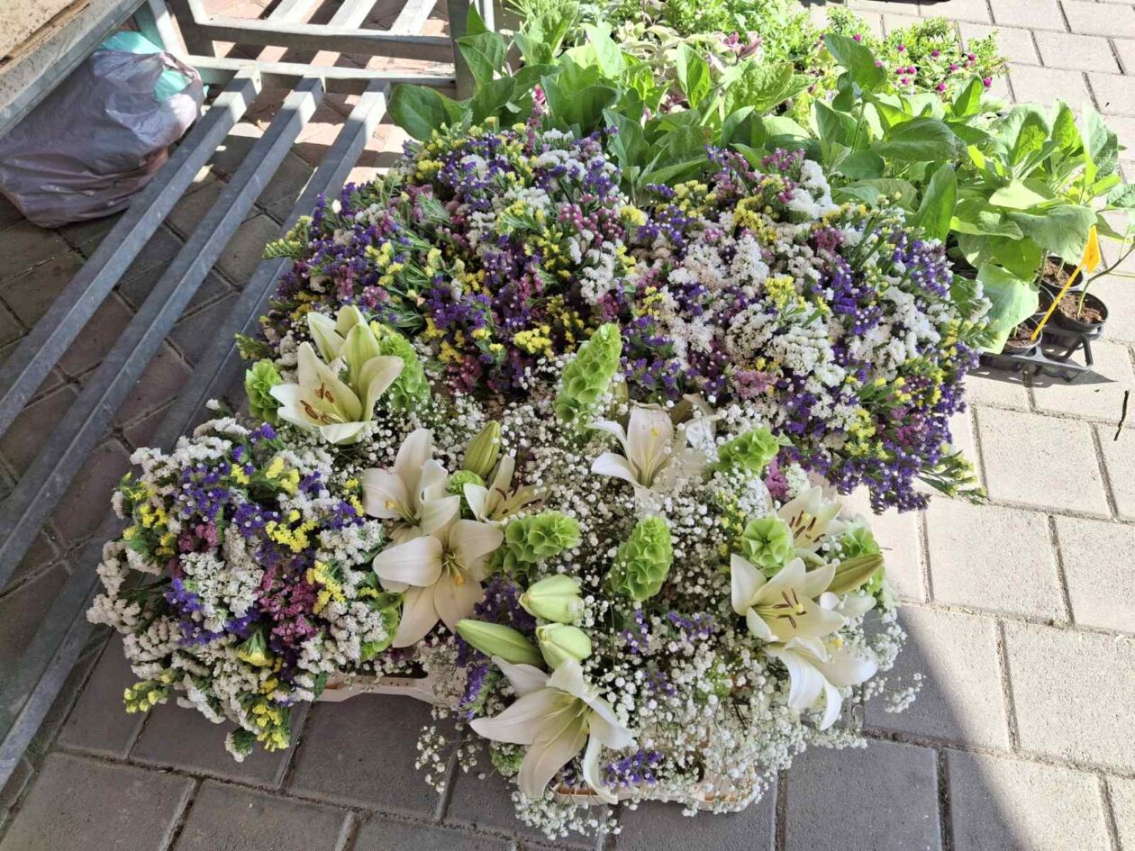 prelog, tržnica,21.6 (26)