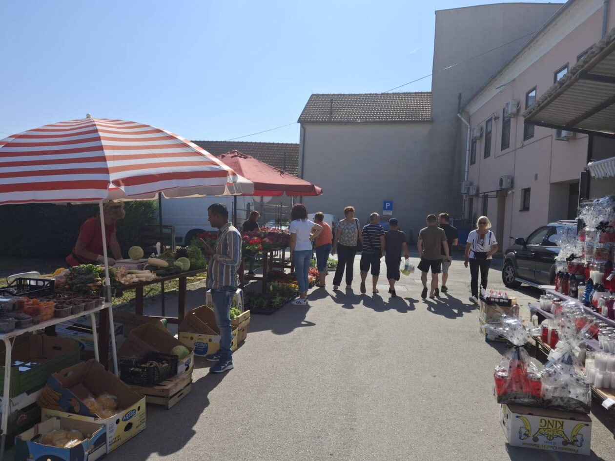 prelog, tržnica,21.6 (31)