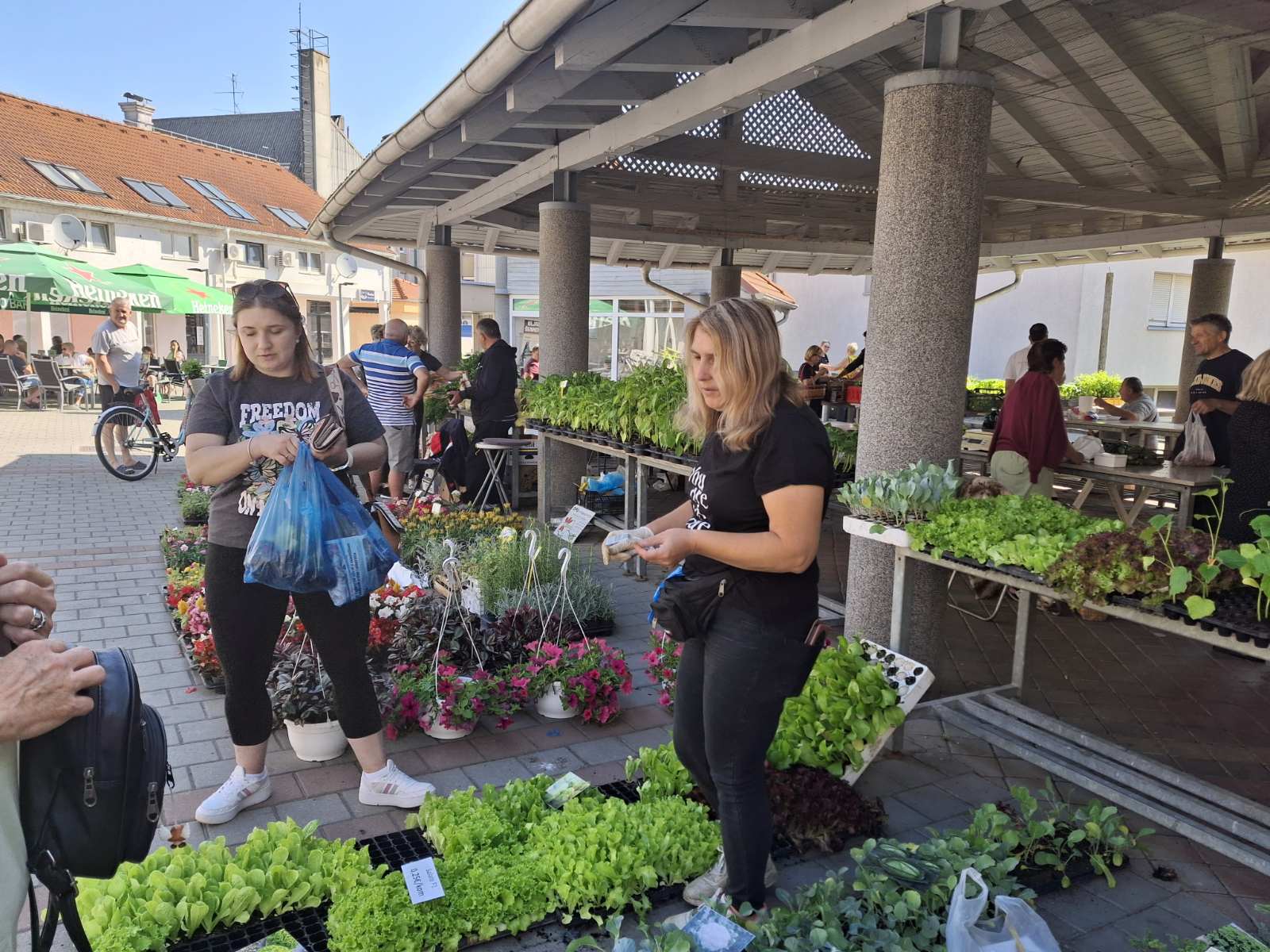 prelog, tržnica,21.6 (37)