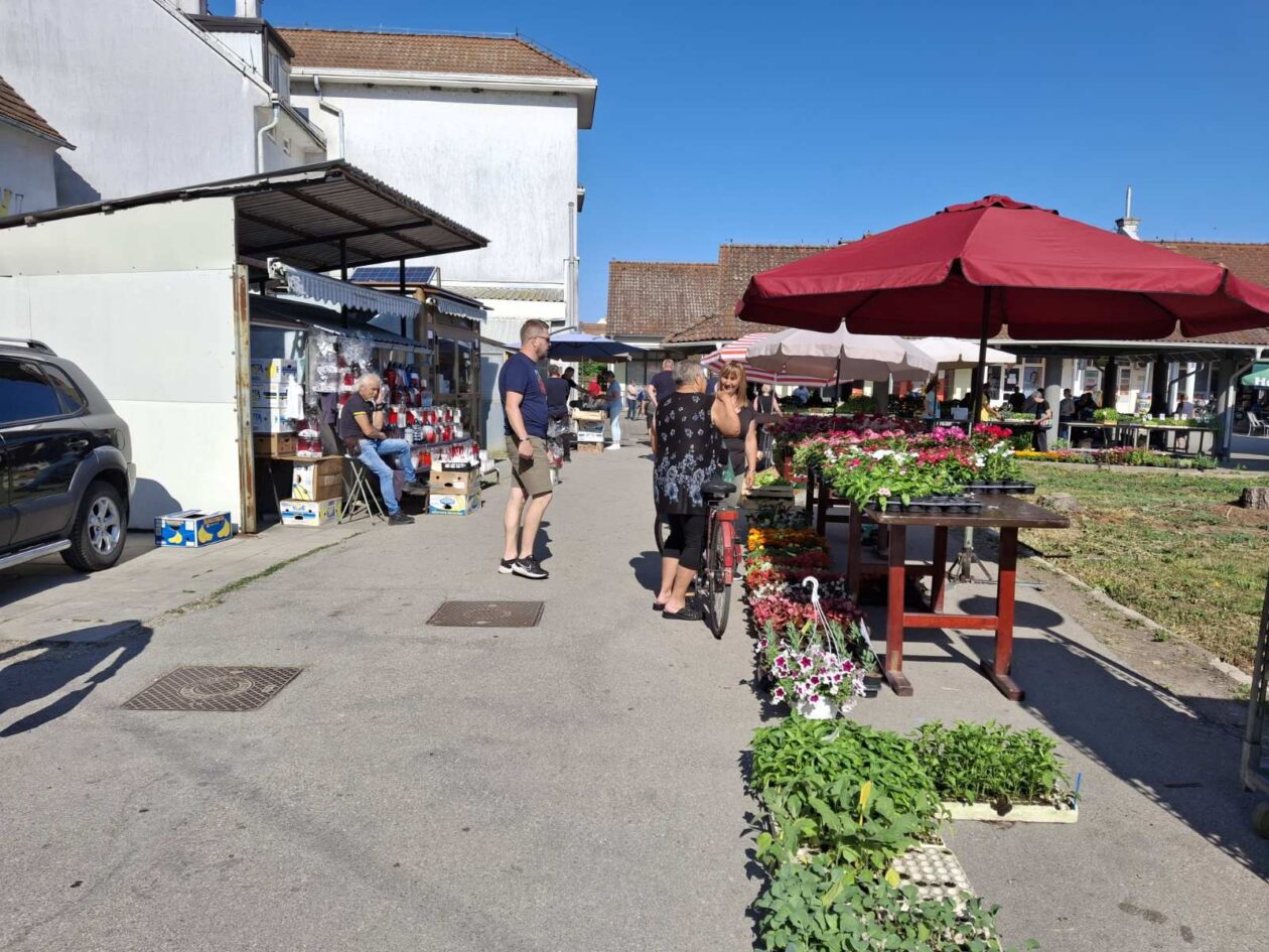 prelog, tržnica,21.6 (43)