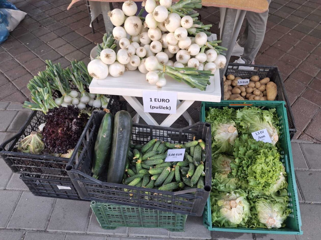prelog, tržnica,21.6 (46)