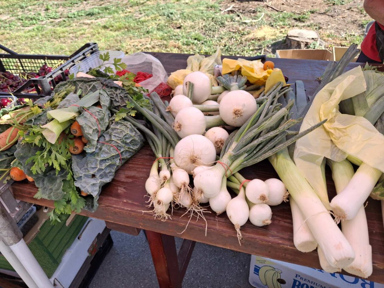 prelog, tržnica,21.6 (64)