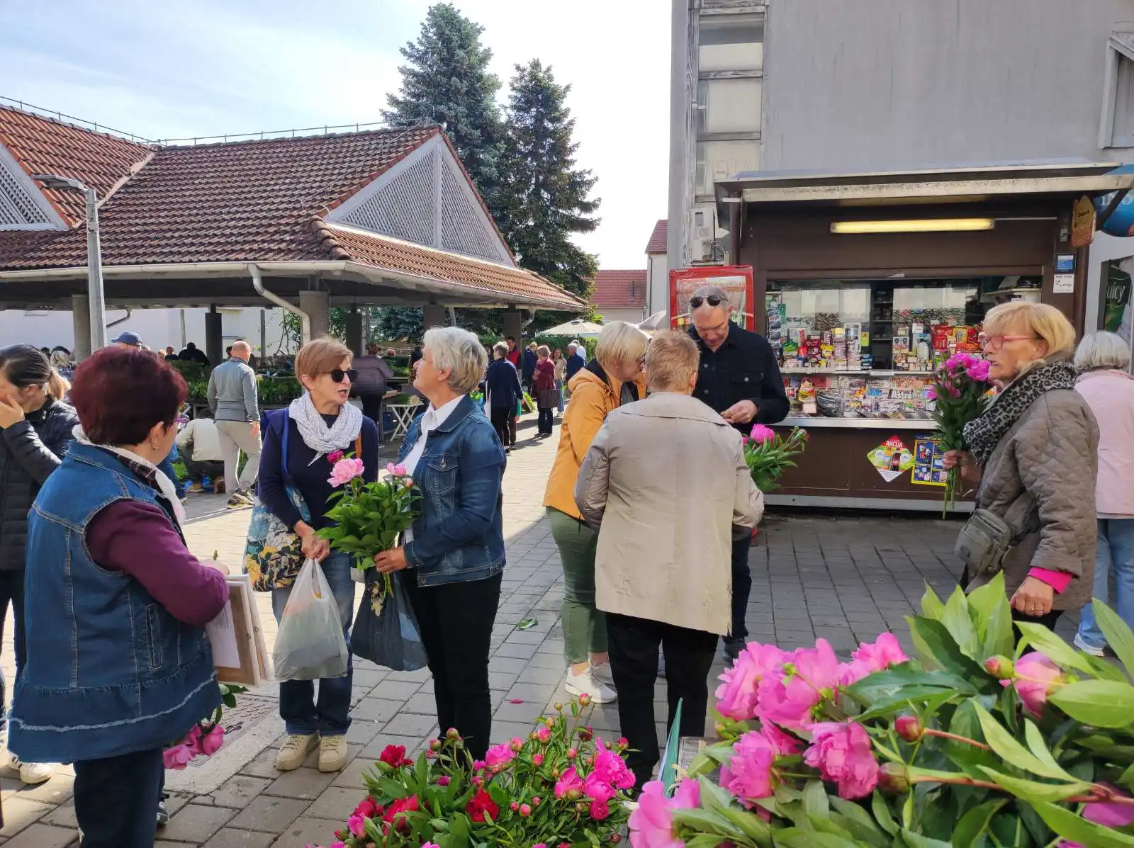 prelog,katruže,akcija (10)