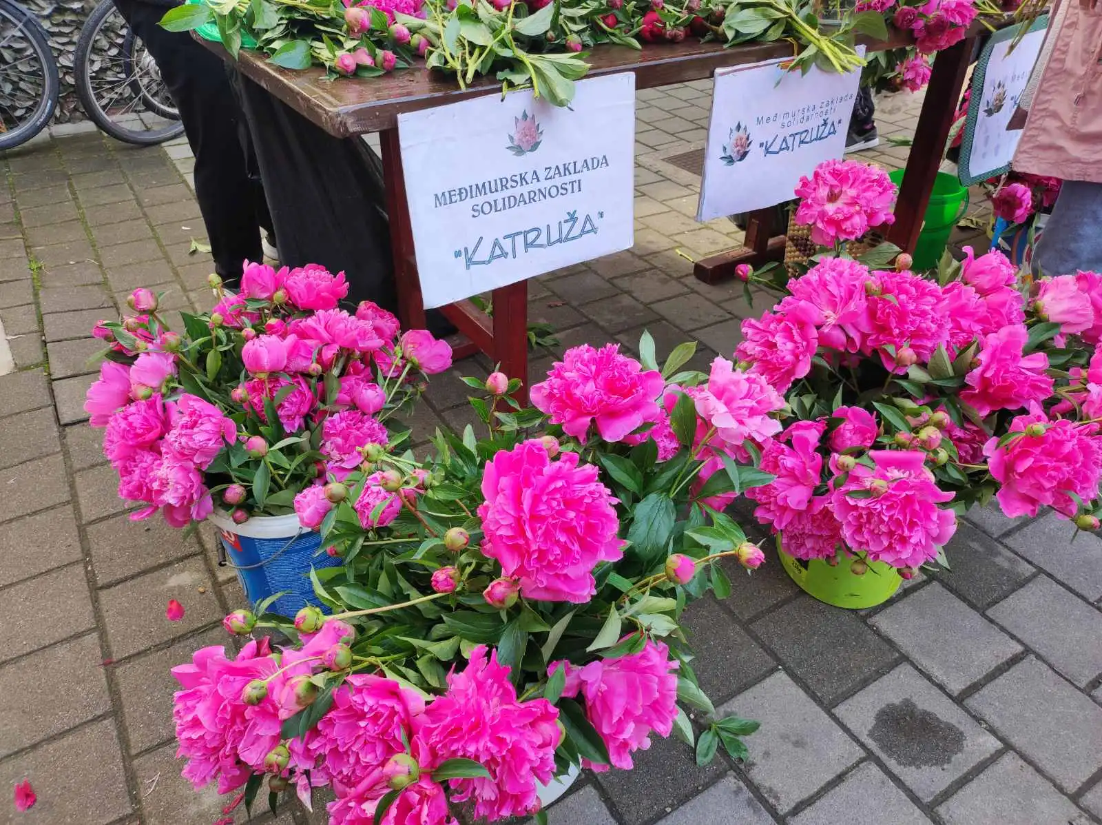 prelog,katruže,akcija (5)