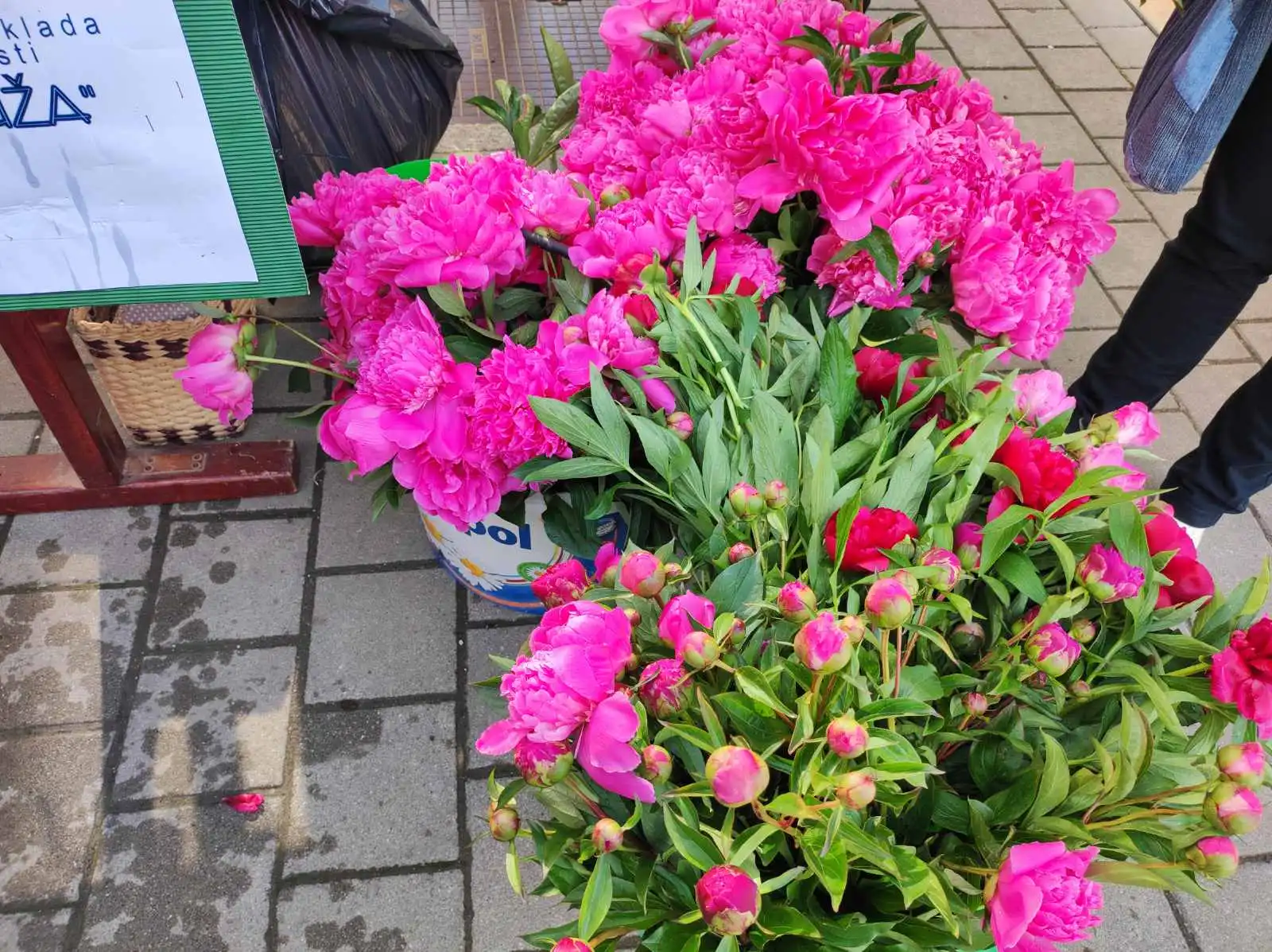 prelog,katruže,akcija (8)