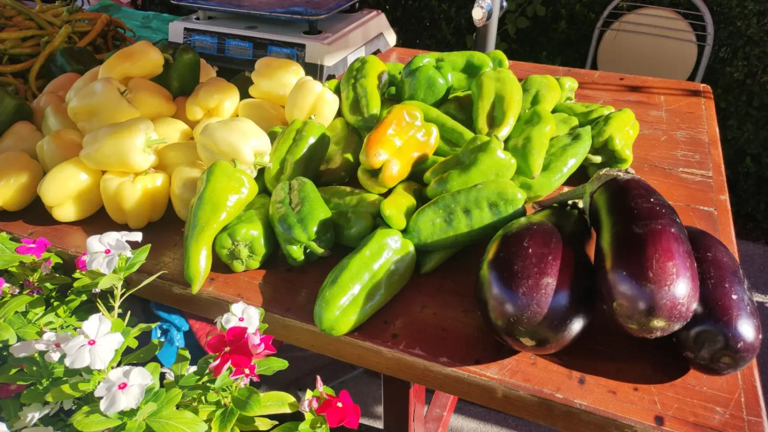 preloška tržnica 10.8 (12)