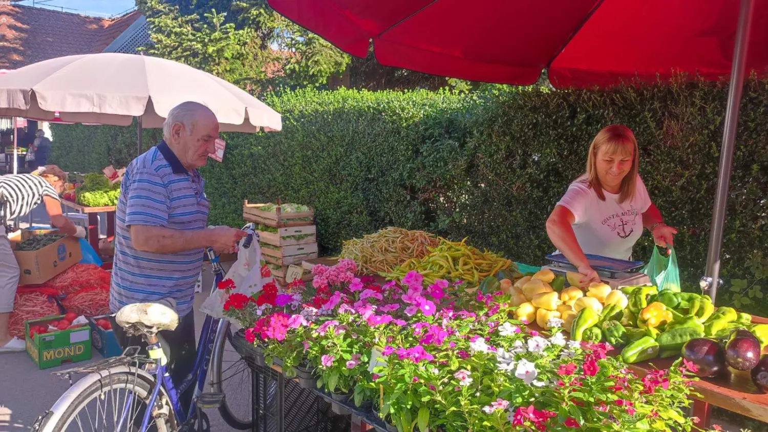 preloška tržnica 10.8 (18)