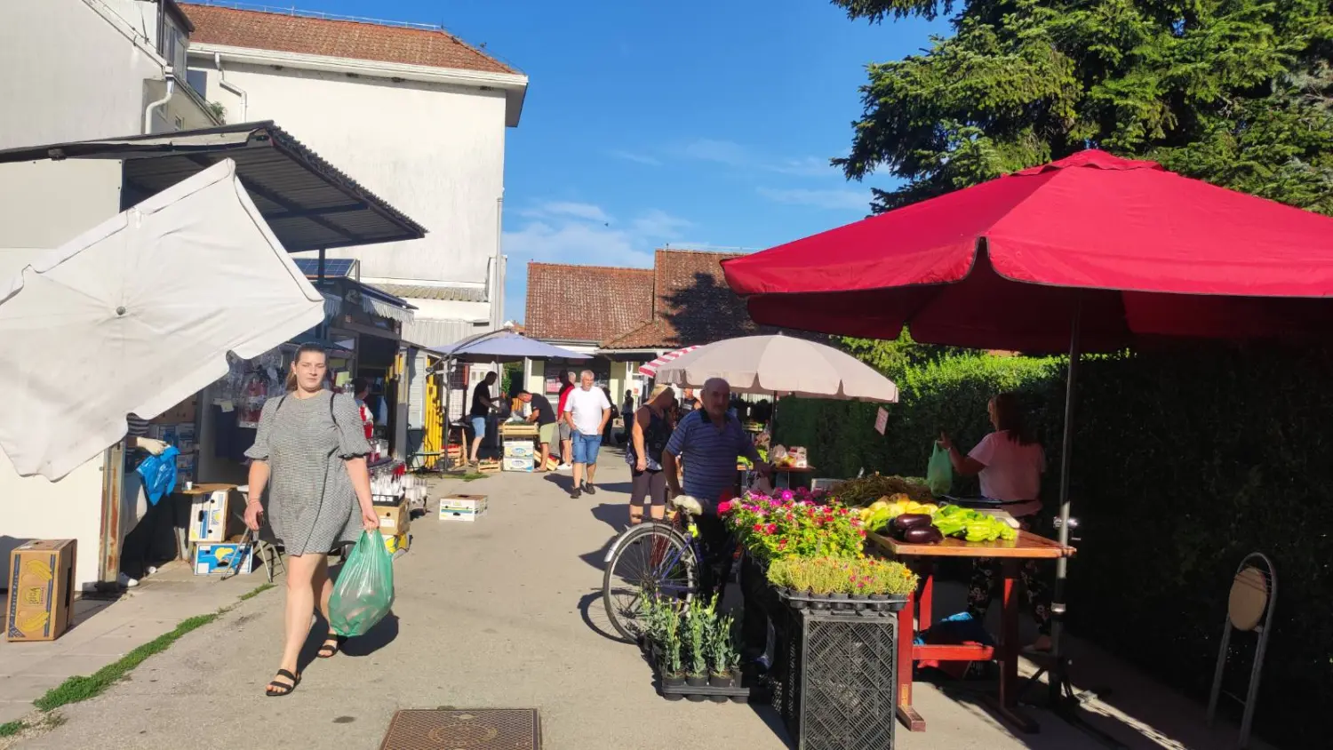 preloška tržnica 10.8 (19)