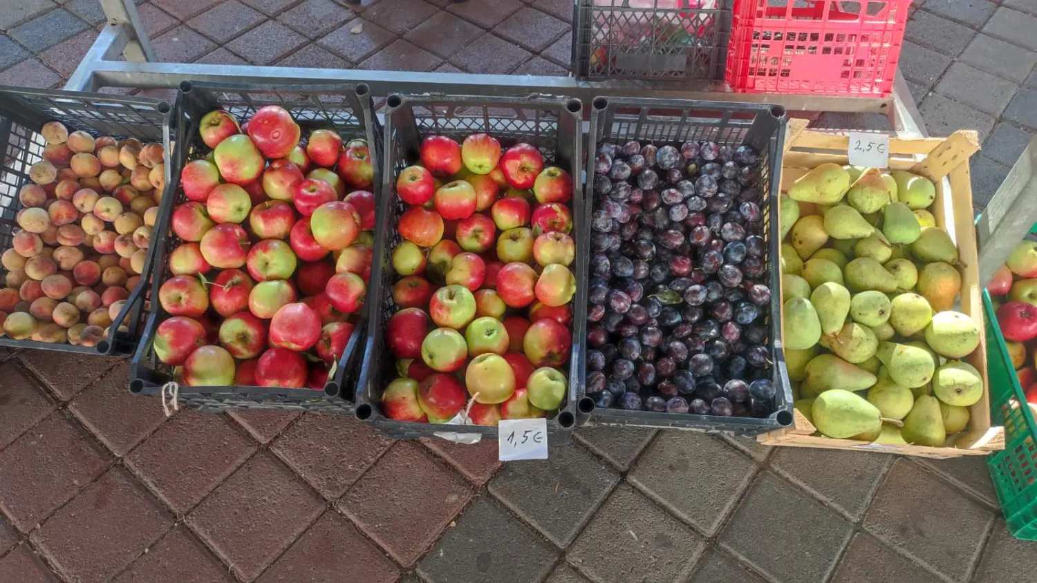 preloška tržnica 10.8 (24)