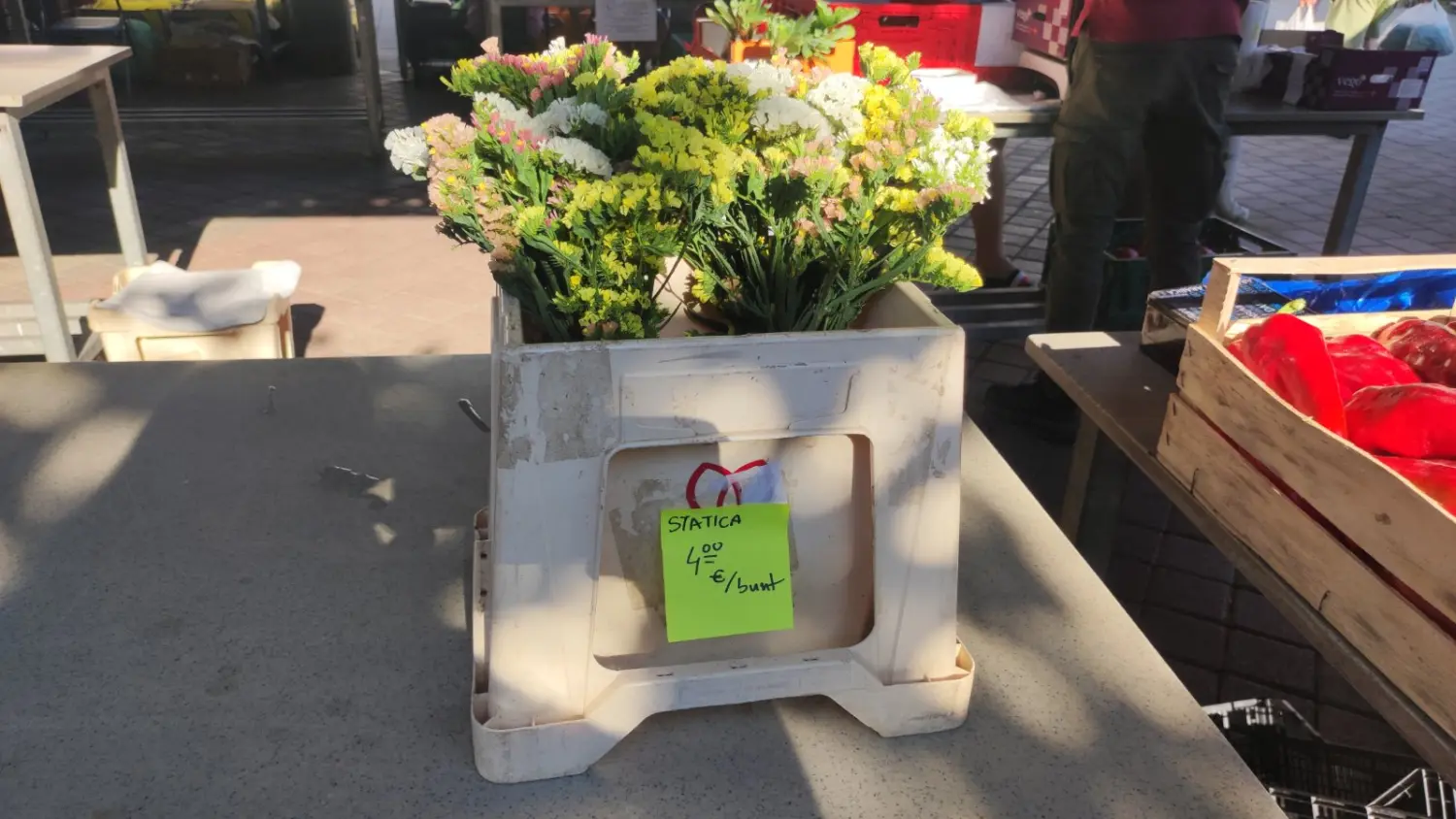 preloška tržnica 10.8 (27)