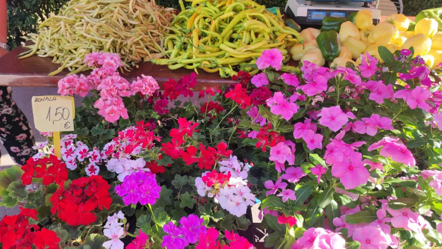 preloška tržnica 10.8 (5)