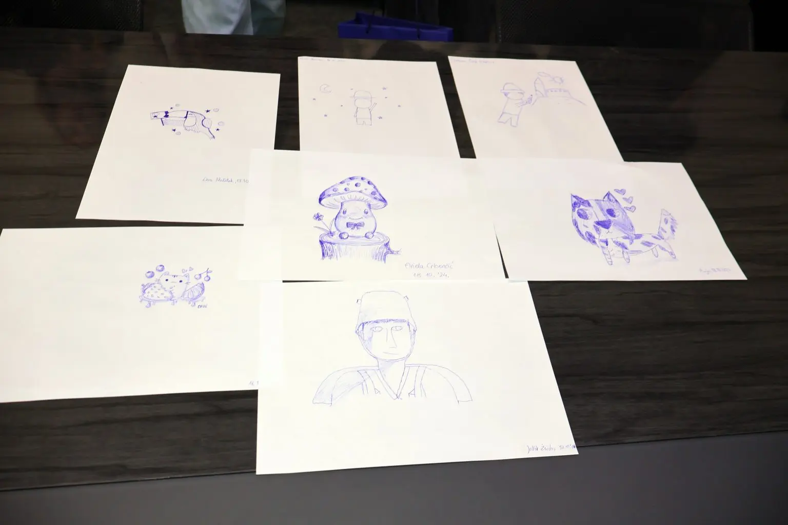 prijem šaf kod cividini (10)