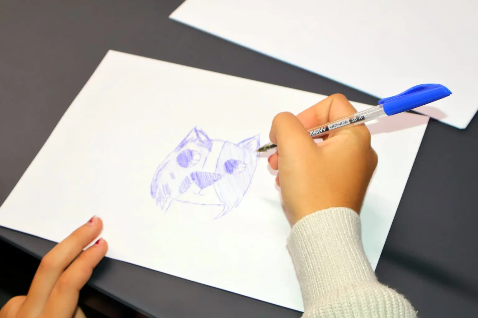 prijem šaf kod cividini (4)