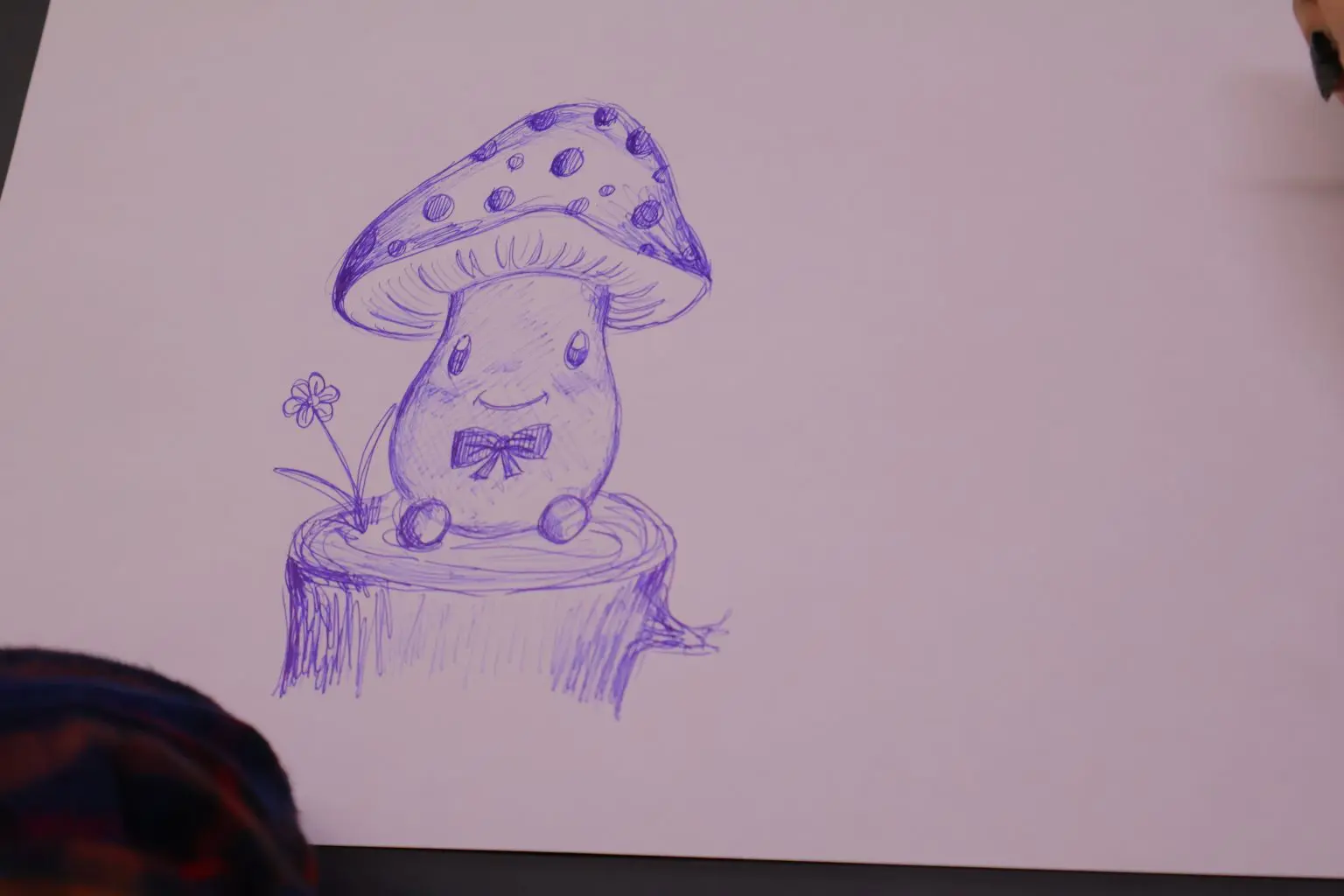 prijem šaf kod cividini (6)