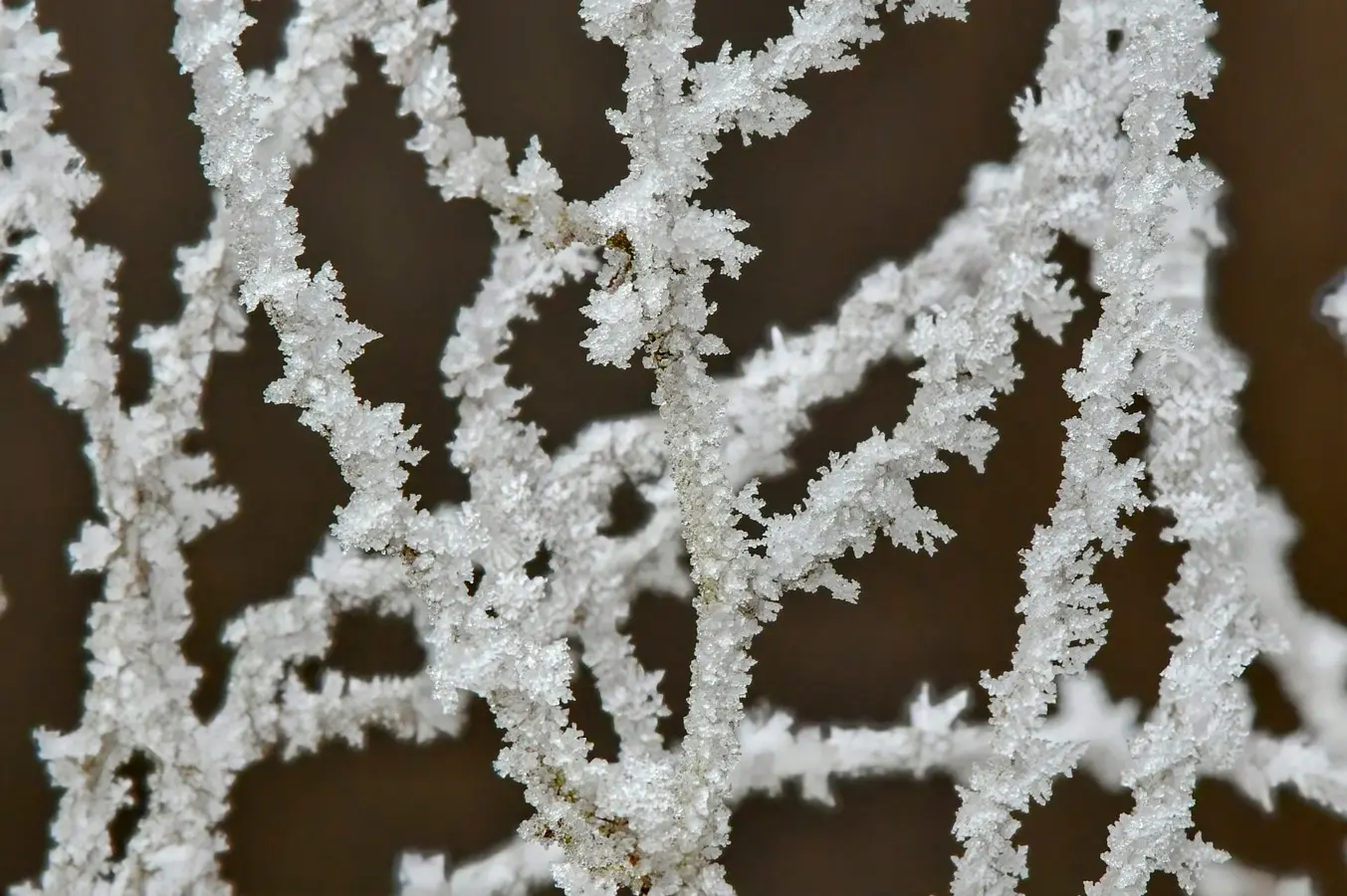 priroda danijel mikolaj (11) priroda danijel mikolaj (11)