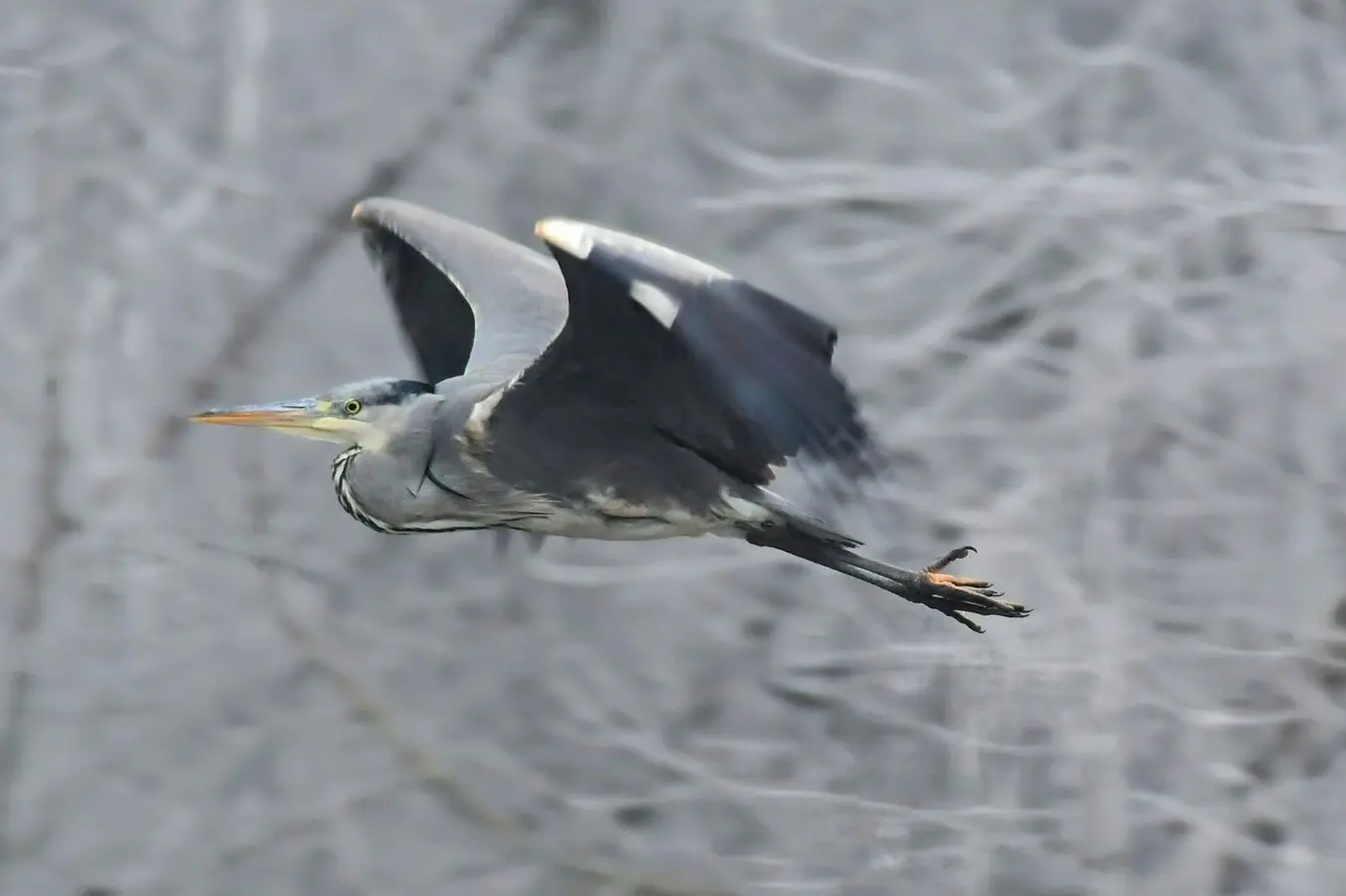 priroda danijel mikolaj (15) priroda danijel mikolaj (15)