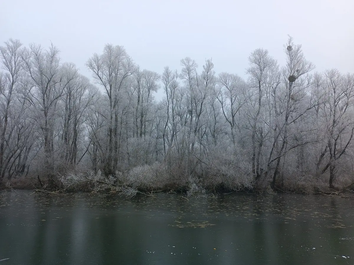 priroda danijel mikolaj (3) priroda danijel mikolaj (3)