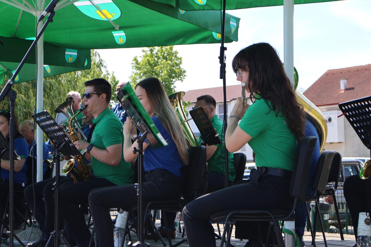 promenadni koncert (12)