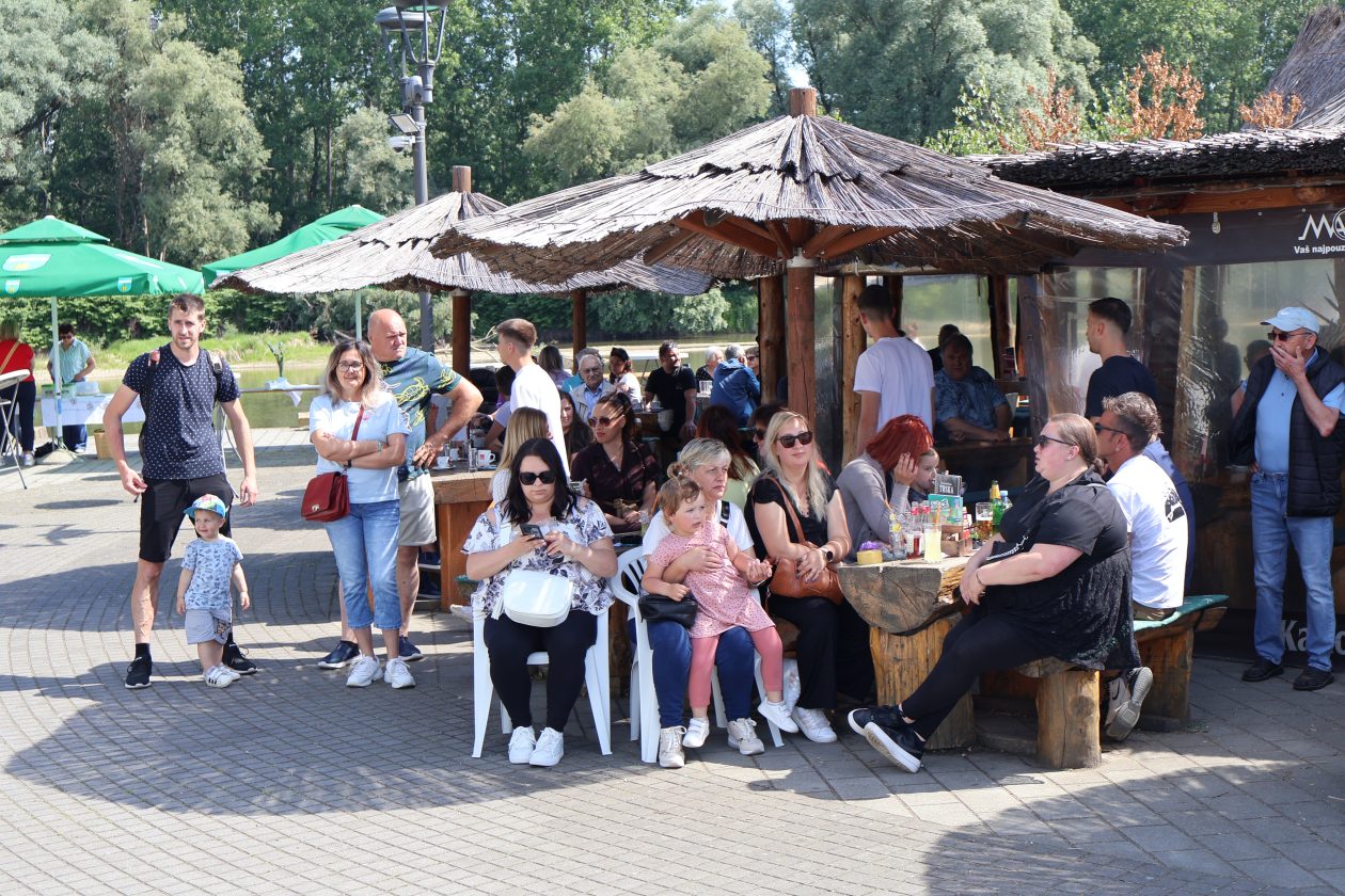 promenadni koncert (15)