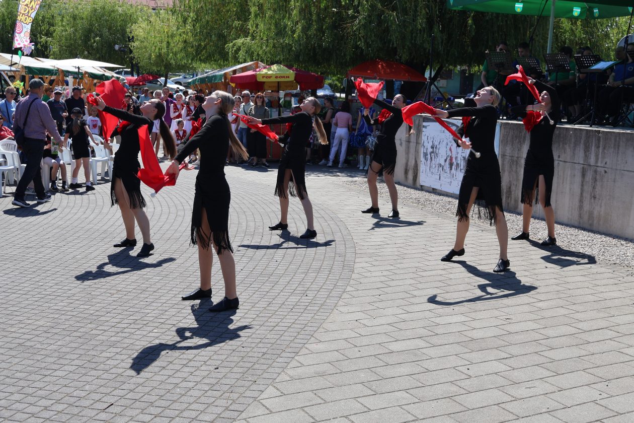 promenadni koncert (47)