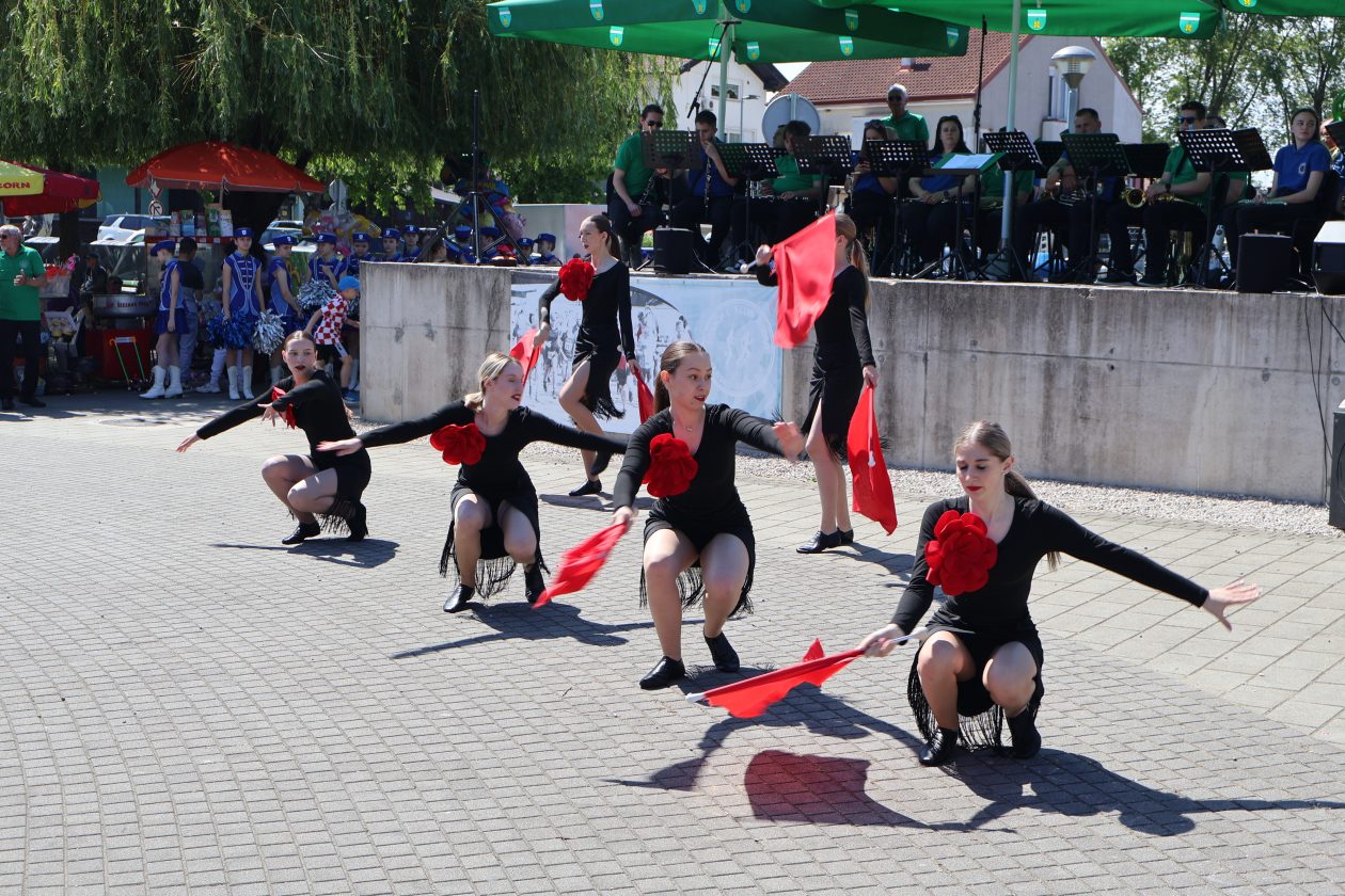 promenadni koncert (48)