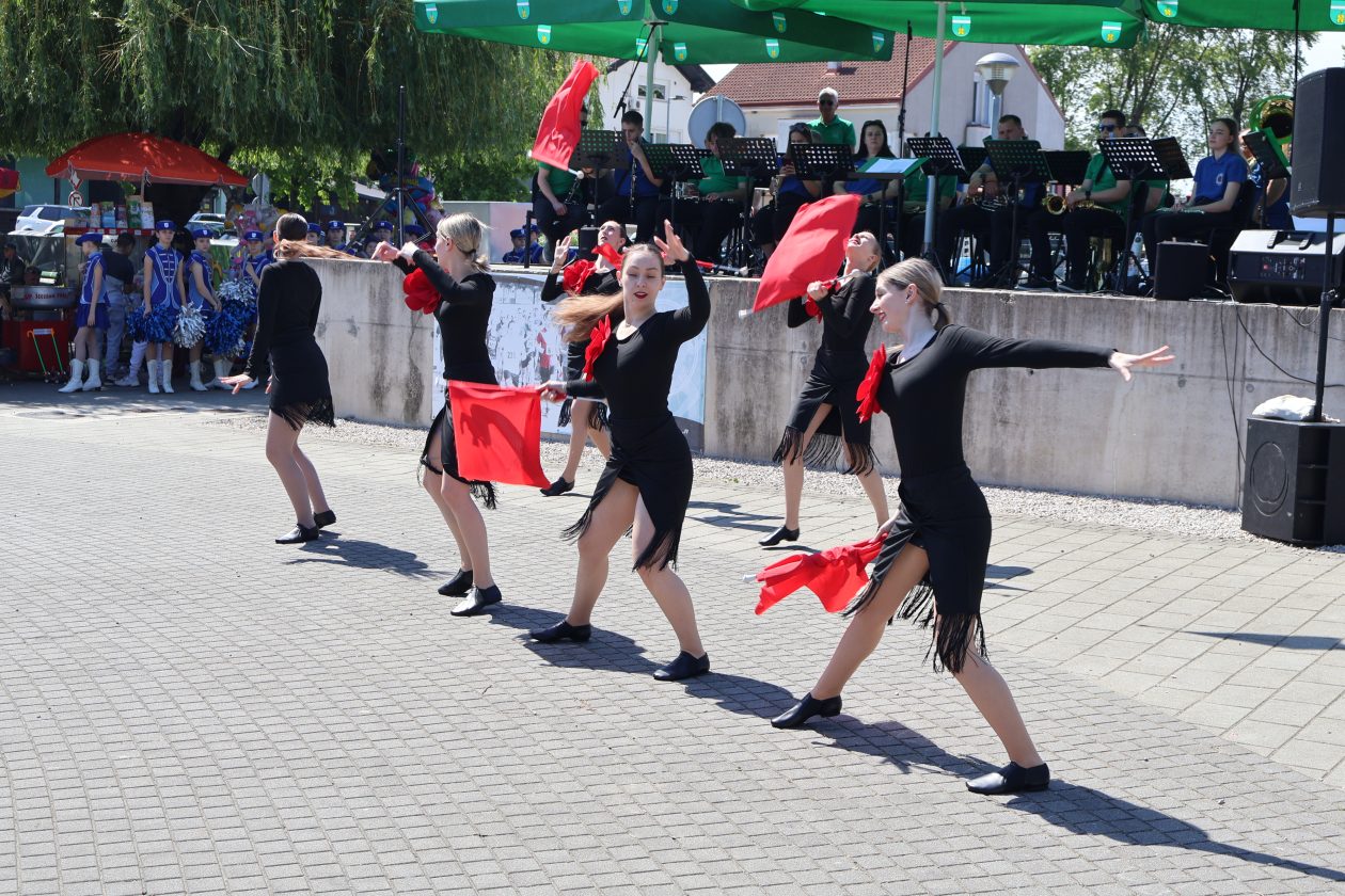 promenadni koncert (49)