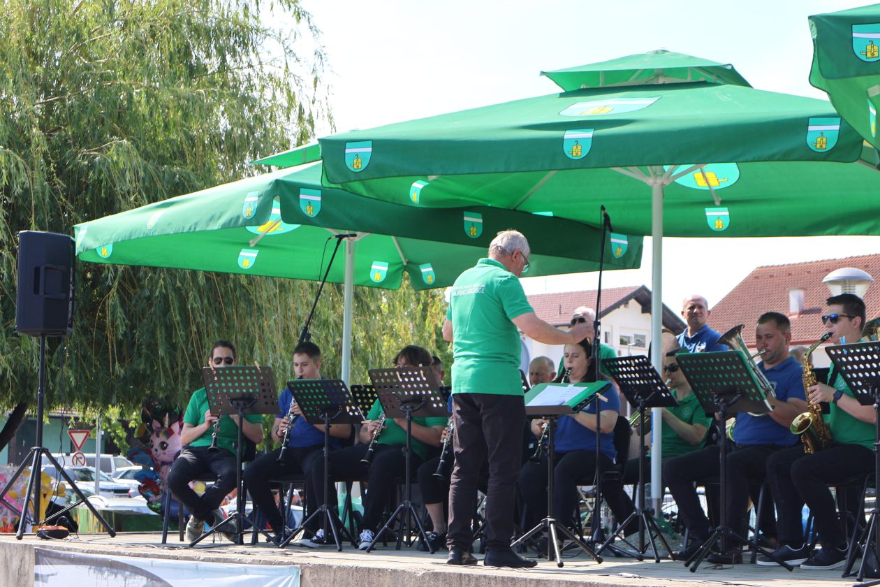 promenadni koncert (5)