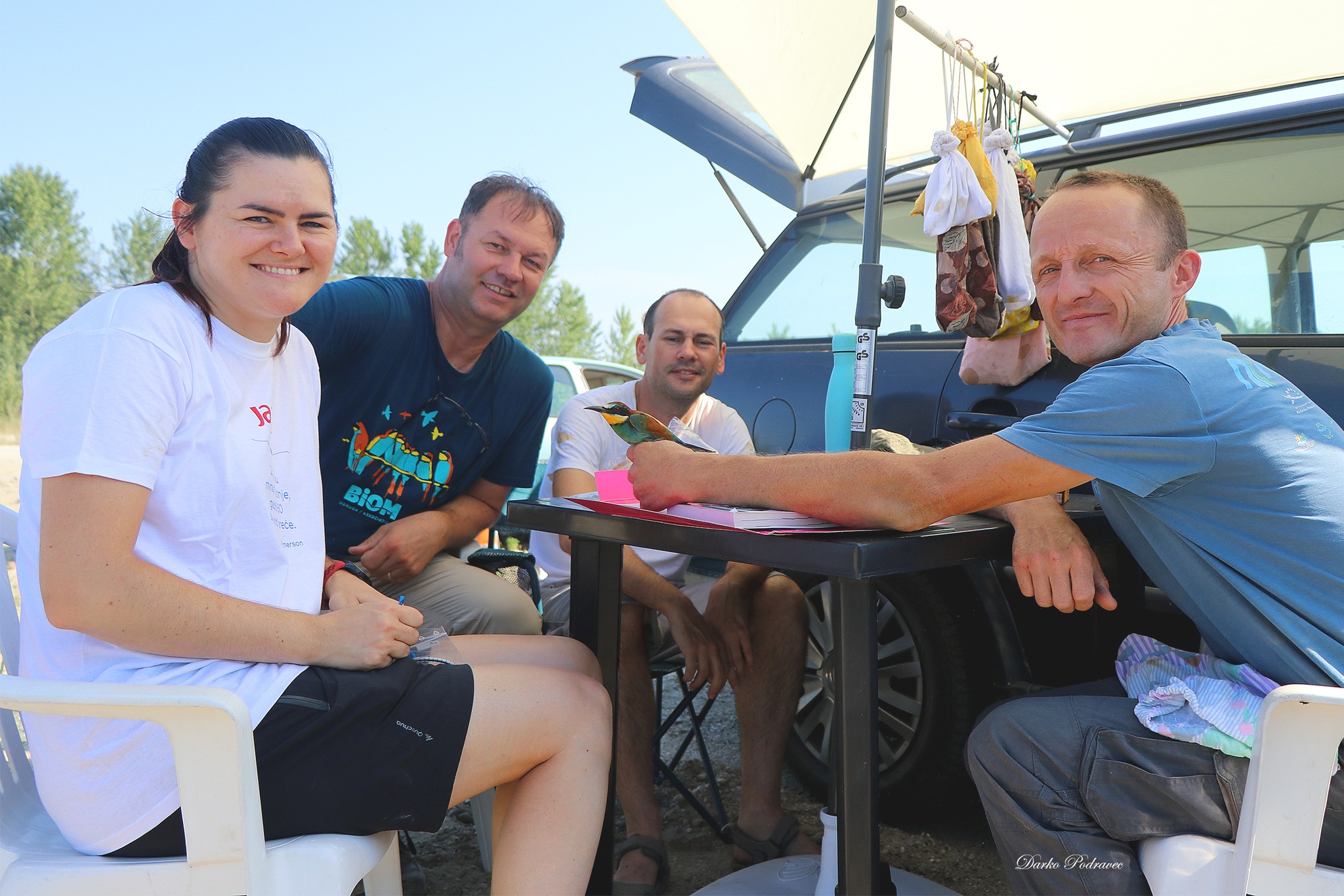 prstenovanje bregunica – foto Darko Podravec (1) – na fotografiji pcelarica