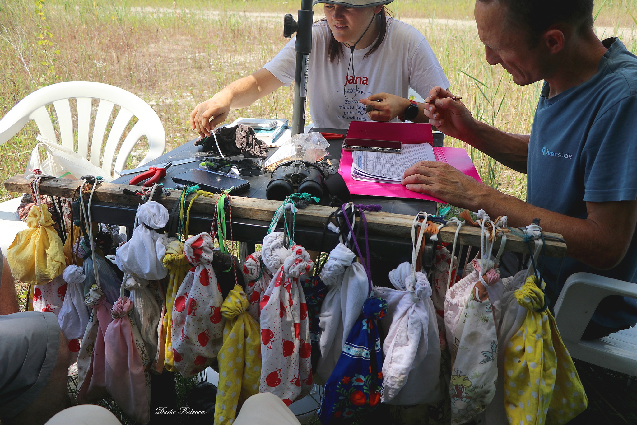 prstenovanje bregunica – foto Darko Podravec (5)