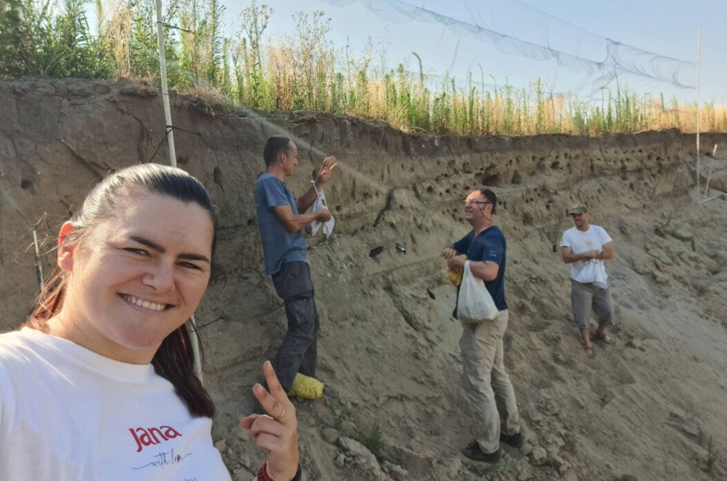 prstenovanje bregunica – foto Sandra Hodic (5)