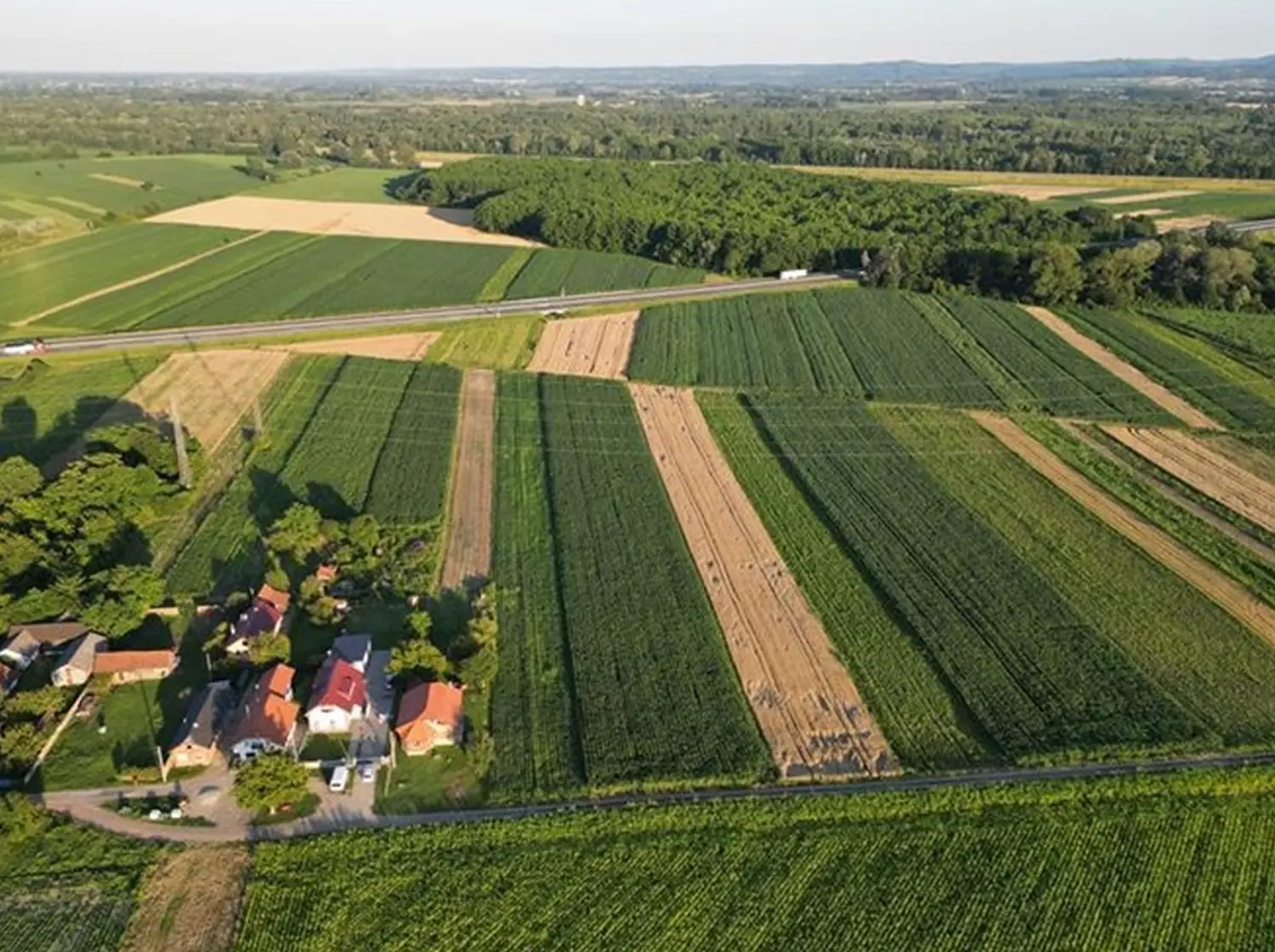 pu međimurska,nadzor,polja,krumpir (4) pu međimurska,nadzor,polja,krumpir (4)