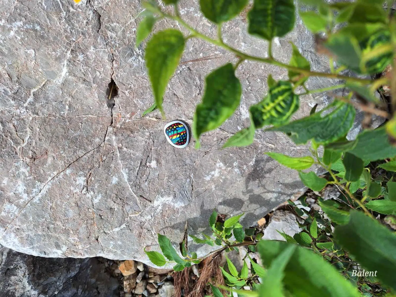 putujući kamen (4) putujući kamen (4)