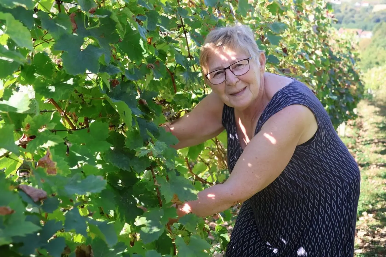 radio gorice za katružu 2024 (41) radio gorice za katružu 2024 (41)