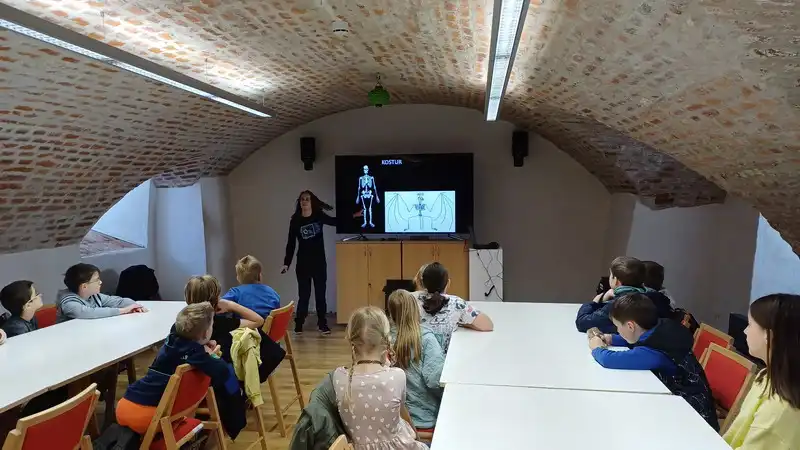 radionica Mocni nocni letaci-Medjimurska priroda (11)