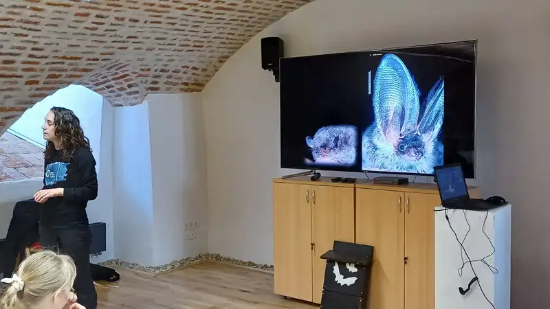 radionica Mocni nocni letaci-Medjimurska priroda (12)