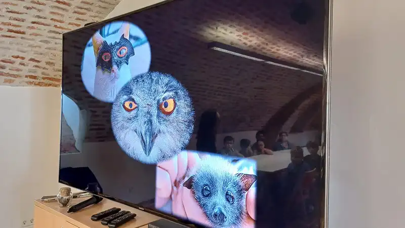 radionica Mocni nocni letaci-Medjimurska priroda (16)