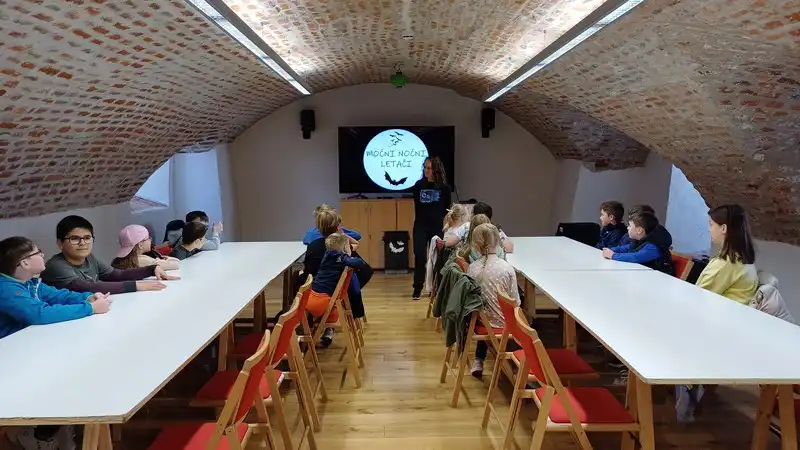 radionica Mocni nocni letaci-Medjimurska priroda (8)
