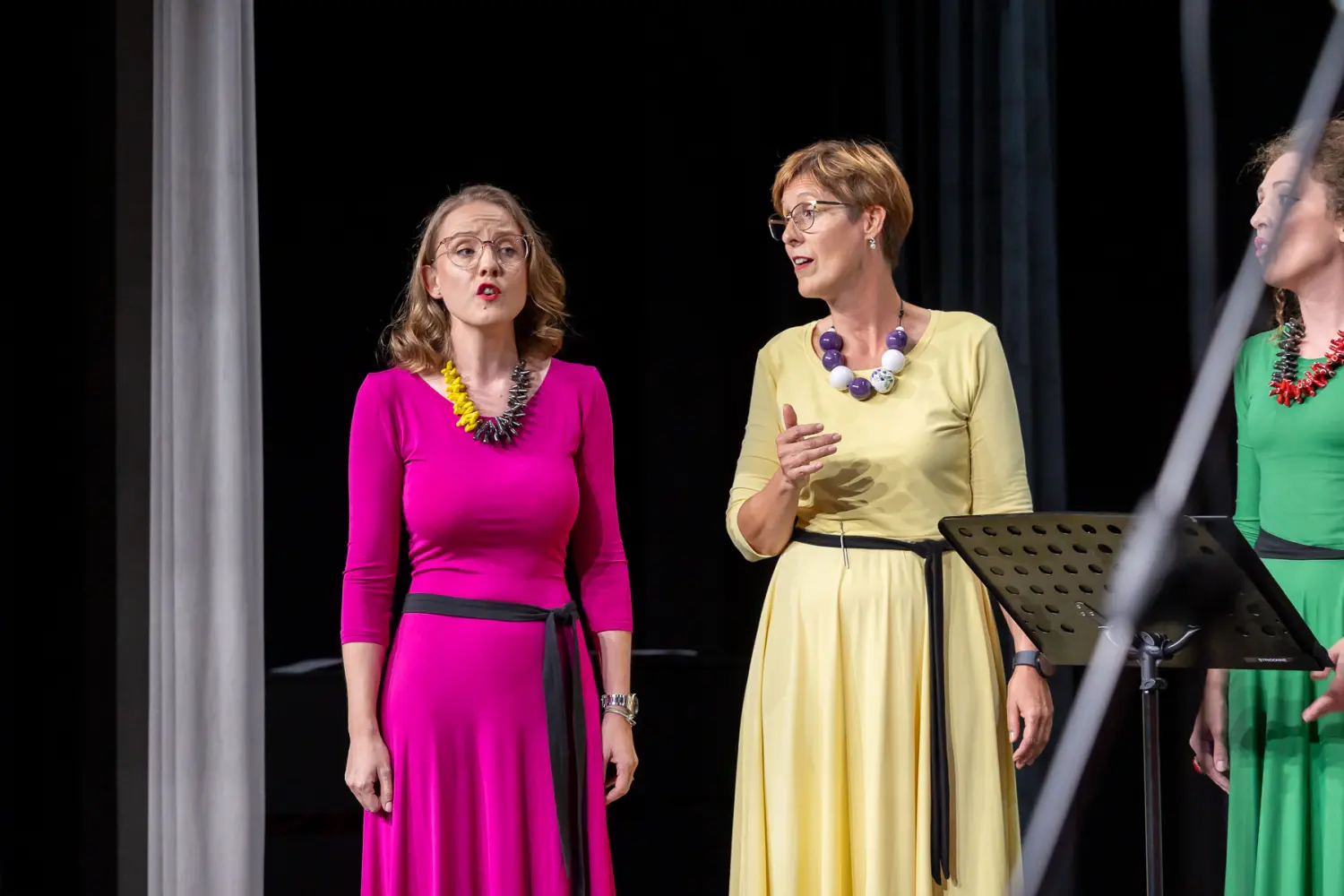 raspjevana večer štrigova (17)