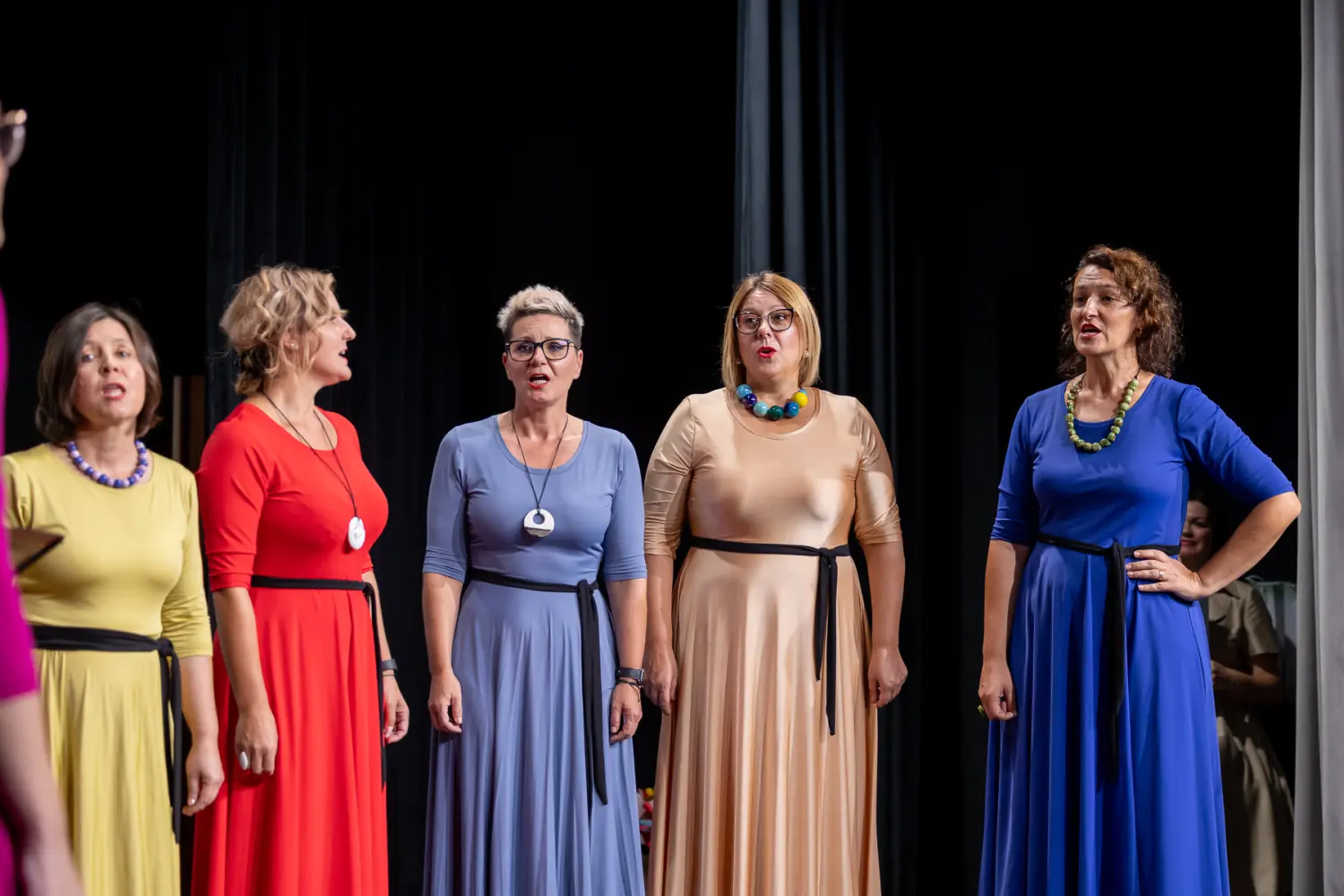 raspjevana večer štrigova (20)