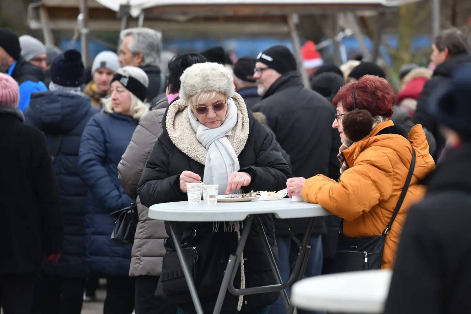 ribice, grad čakovec 2024 (36)