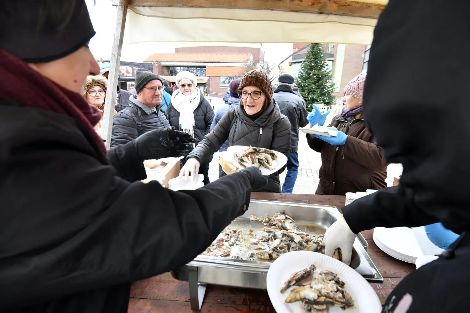 ribice, grad čakovec 2024 (38)