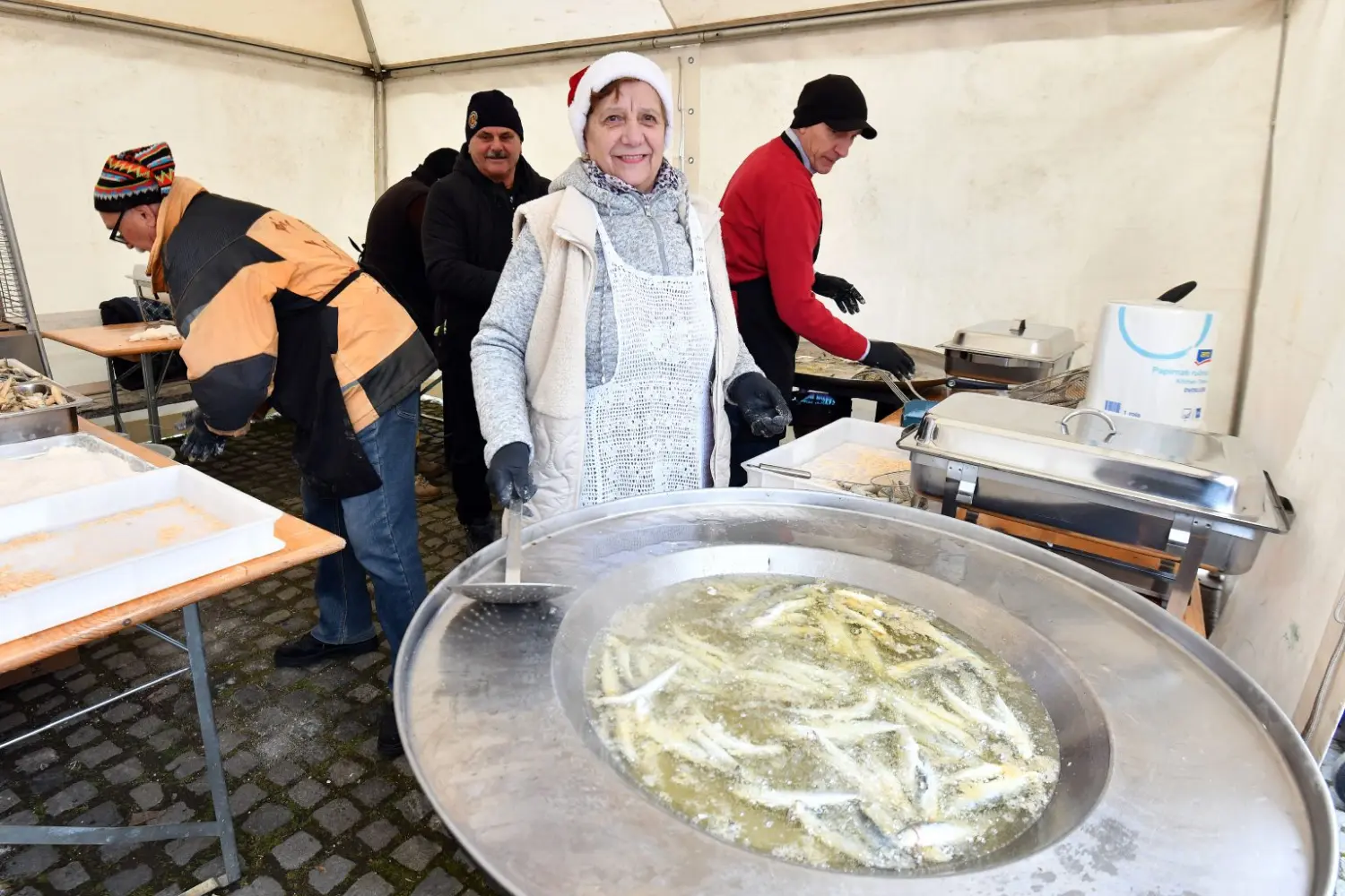 ribice, grad čakovec 2024 (39)