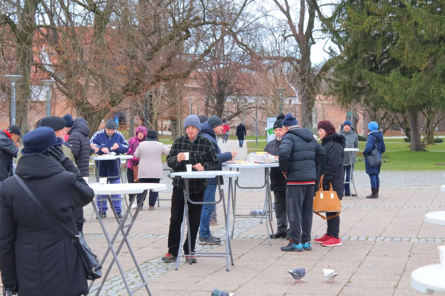 ribice, grad čakovec 2024 (4)