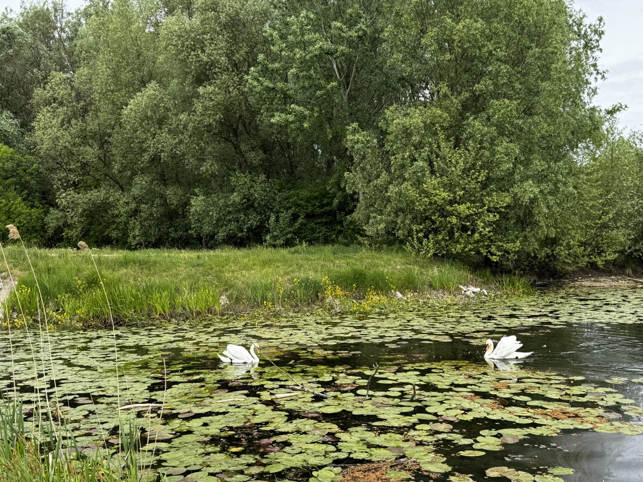 ribiči Podturen Mura (4) ribiči Podturen Mura (4)