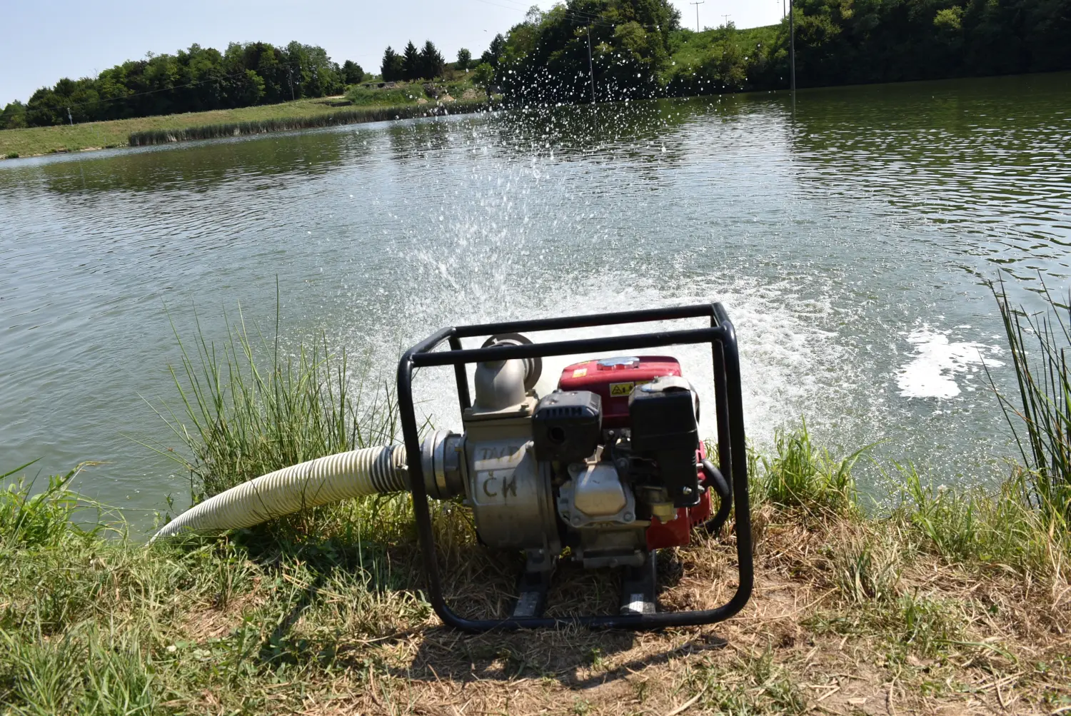 ribnjak šenkovec (2)