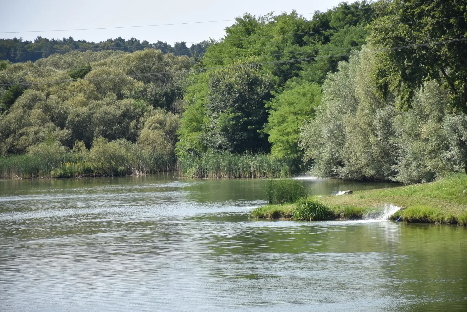 ribnjak šenkovec (4)