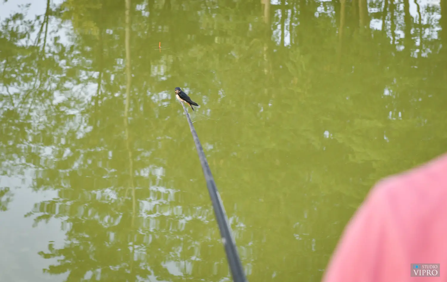 ribolovno natjecanje čukovec (19)