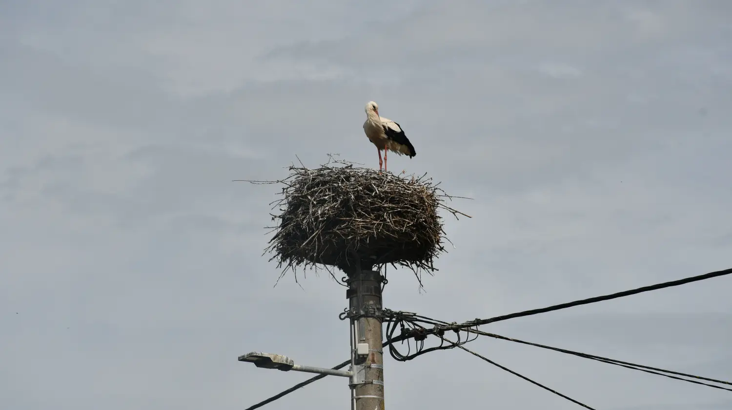 rode,draškovec (1) rode,draškovec (1)
